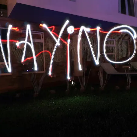 Nayino